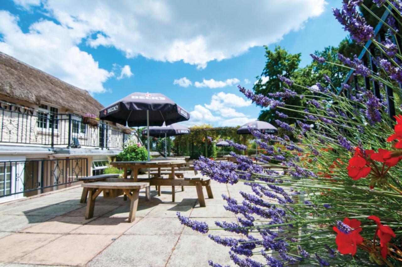 Butterfly Lodge Paignton Exterior foto