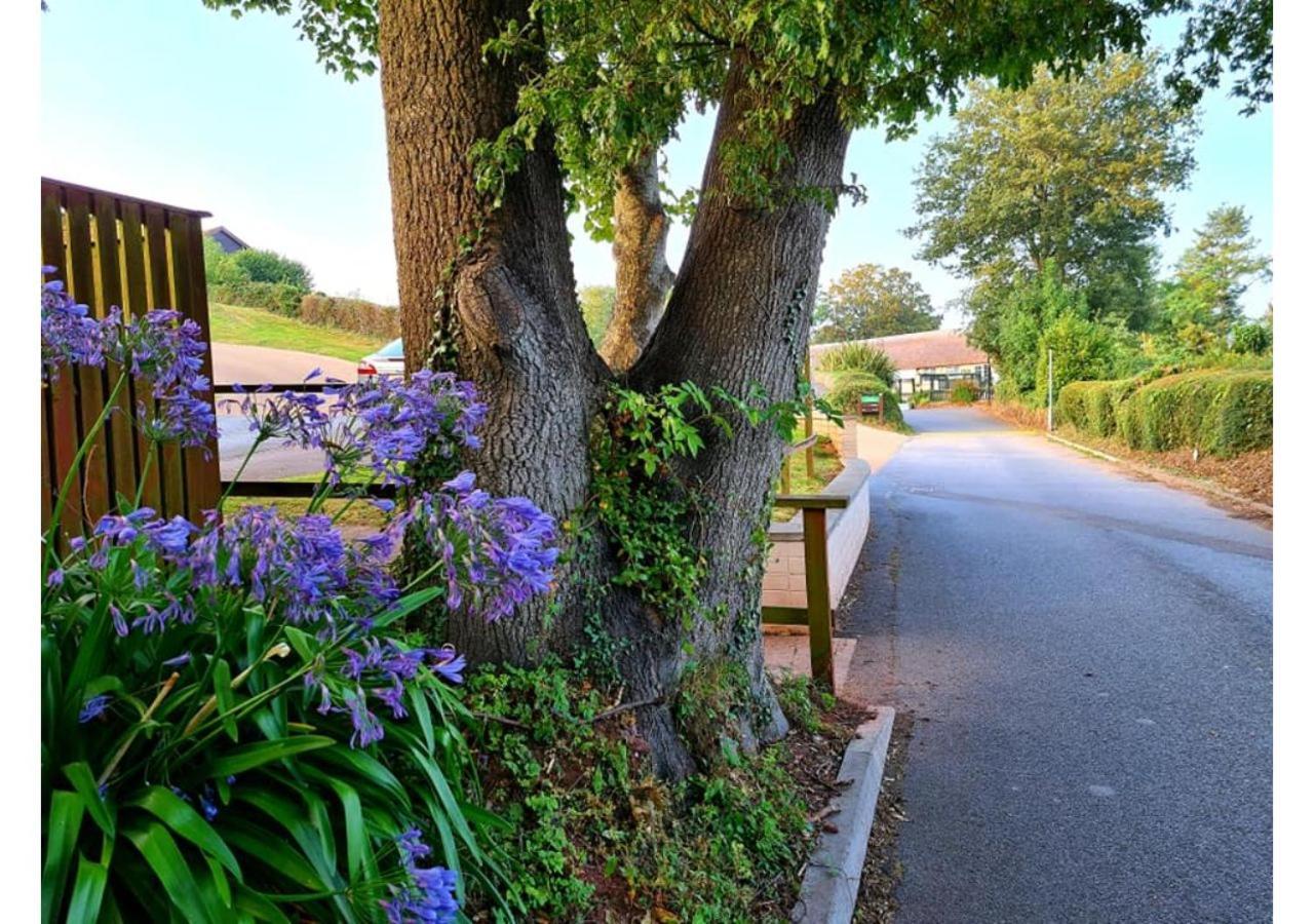 Butterfly Lodge Paignton Exterior foto